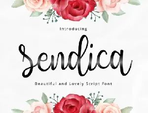 Sendica font