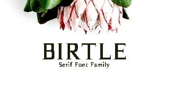 Birtle font