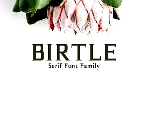 Birtle font