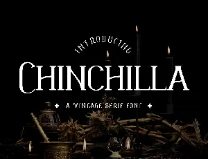 Chinchilla font