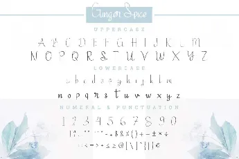 Ginger Spice font