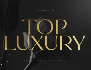 Top Luxury font