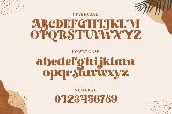 Beachfly Free Trial font