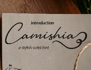 Camishia-free font