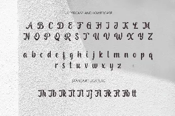 Stealdream font