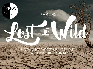 Lost in Wild font