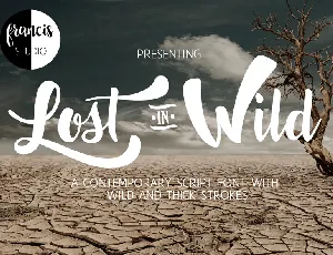 Lost in Wild font