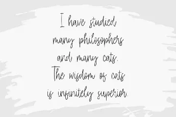 Daily Kitten Handwritten font