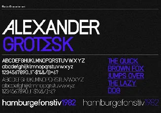 Alexander Grotesk Family font