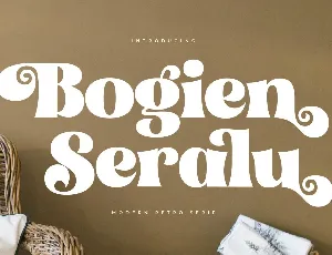 Bogien Seralu DEMO VERSION font