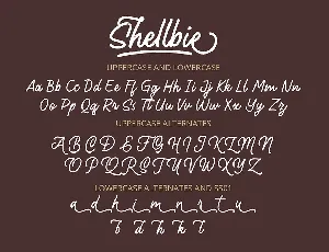 Shellbie font