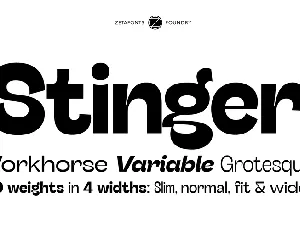 Stinger Fit Trial font
