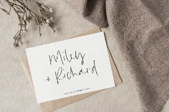 Hidden Beauty font