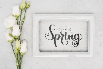 The Spring - Personal Use font