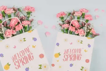 Spring Day Demo font