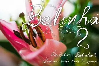 Vtks Belinha font