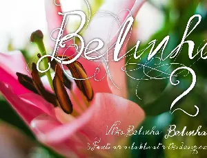 Vtks Belinha font