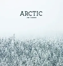 Arctic font