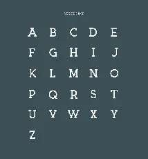 Arctic font