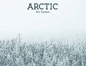 Arctic font