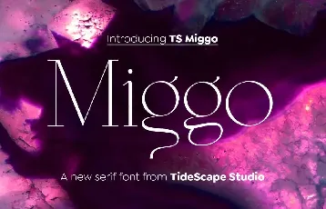 Ts Miggo font