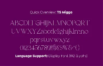 Ts Miggo font