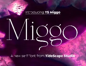 Ts Miggo font