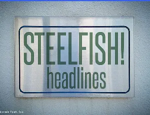 Steelfish font