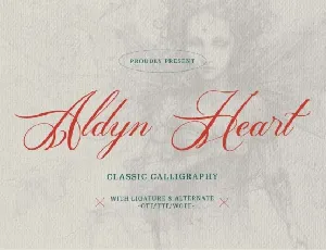 Aldyn Heart font