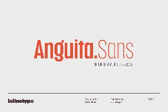 Anguita Sans Family font