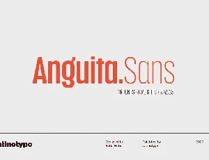 Anguita Sans Family font