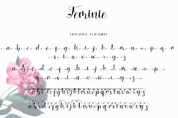 Feminie font