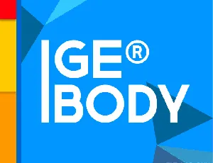 GE BODY FONT