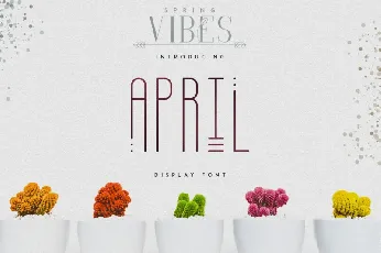 April Display Typeface font