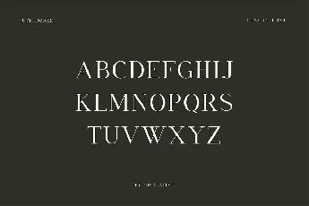 Hegemonic font