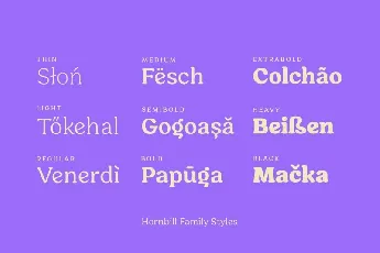 Hornbill Family font