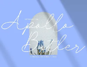 Apollo Butler font