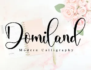 Domiland Script font