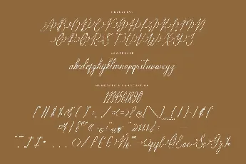 Berlanfi Sankisse DEMO VERSION font