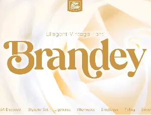 Brandey font