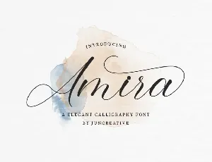 Amira font