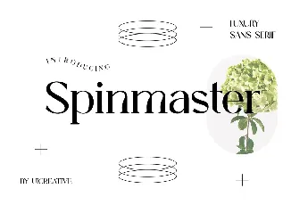 Spinmaster font