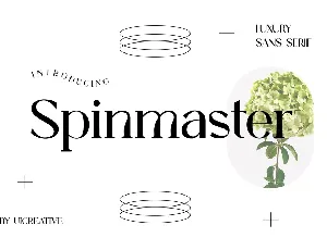 Spinmaster font