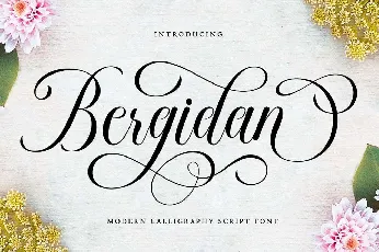 Bergidan font