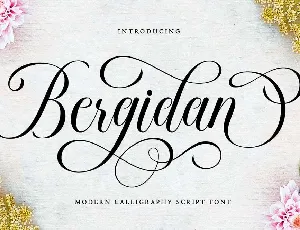 Bergidan font