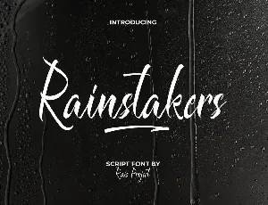 Rainstakers font