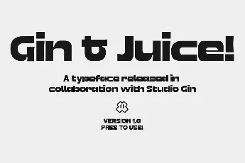 GIN Grotesk font