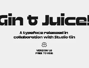 GIN Grotesk font