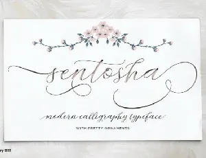 Sentosha Script font