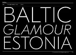 GT Eesti Family font